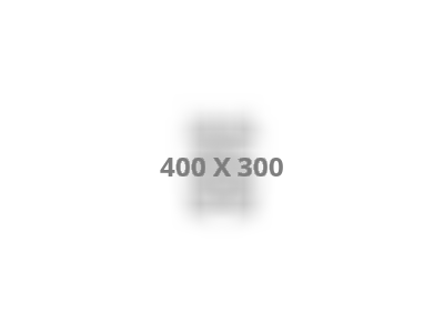 Manufacturer Services Manufacturer Services
